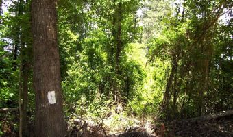 263 LR 182, Ashdown, AR 71822