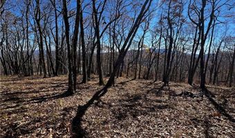 Chappell Farm Road lot 2, Banner Elk, NC 28604