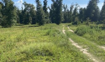 7960 NW County Road 274, Altha, FL 32421
