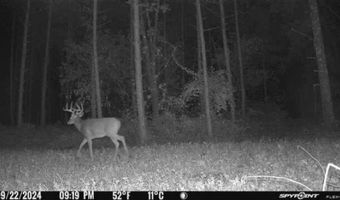 8752 HWY A, Almond, WI 54909