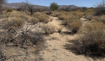 00 Wickenburg North Rnch, Congress, AZ 85332