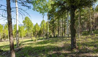 Lot 437 El Camino Real, Angel Fire, NM 87710