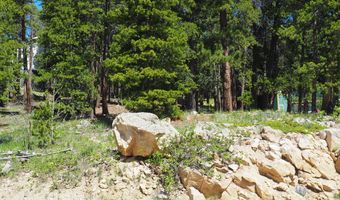 Caesar Rd, Black Hawk, CO 80422