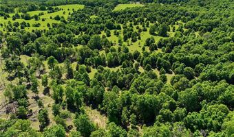 210 County Road 320, Alton, MO 65606