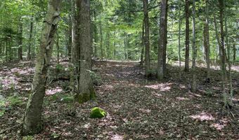 101 Jug Brook Rd, Cabot, VT 05647