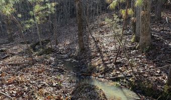 MOUNTAIN CUT RD lot A, Appomattox, VA 24522
