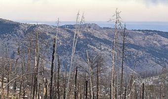 2025 Granite Rd, Bellvue, CO 80512