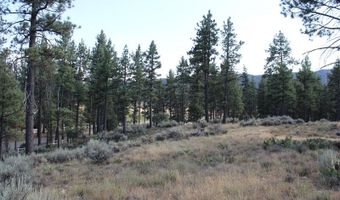 030 Butterfly Peak Rd, Mountain Center, CA 92561