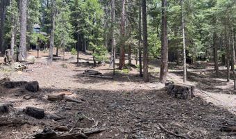 37 Iroquois Dr, Camp Connell, CA 95223