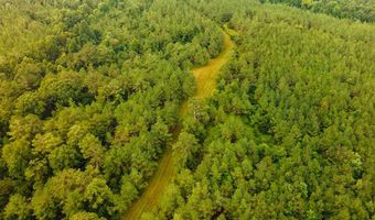 1037 Cr 300, Big Creek, MS 38914