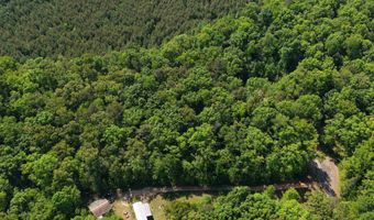 0009 SPRINGHOLLOW Rd Lot 9, Ashville, AL 35953