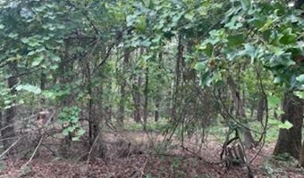 46 Mandarina Way, Hot Springs Village, AR 71909