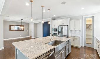 11216 Preservation Ln, Charlotte, NC 28278