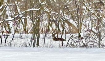 14995 42nd St S, Afton, MN 55001