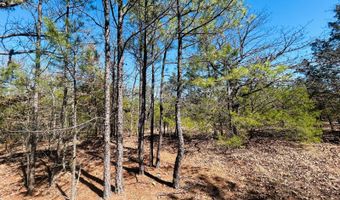 45 N 4450 Rd, Albion, OK 74521