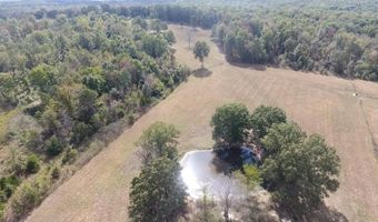 County Road 113, Alton, MO 65606