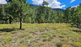 105 Quail Rdg, Antonito, CO 81120