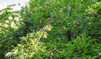 391 S Cedar Tree Dr, Brookside, UT 84782