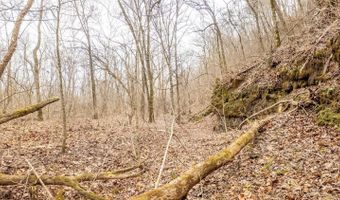 County Road 19-A, Alton, MO 65606