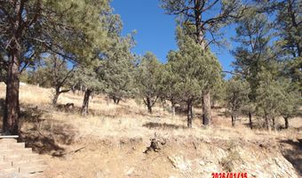 Lake Shore Drive 1, Alto, NM 88312