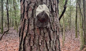 Wilburn Taylor Road, Buckatunna, MS 39322