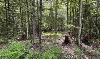37446 N Shore/Washington Dr, Barnstead, NH 03225