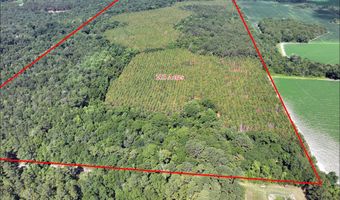 Highway 112, Abbeville, GA 31001