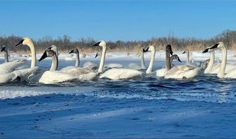 1711 W Church Rd, Alden, WI 54026