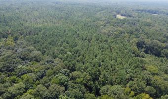 1 Champion Hill Rd, Bolton, MS 39041