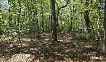 HURT HOLLOW RD, Banco, VA 22711