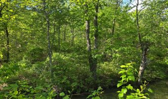 TR 21 & 22 PINE TREE TRAIL, Albion, OK 74571