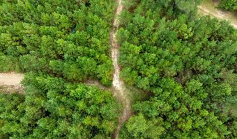 20 Ac State Hwy 95 Columbia Rd, Abbeville, AL 36310