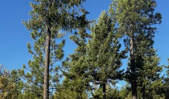 Old CC Rd, Addy, WA 99101