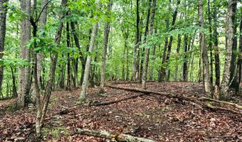 Planters Pointe Terrace, Baldwin, GA 30511