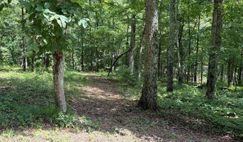 ROCK ISLAND POINT lot 3 & 4, Arley, AL 35541