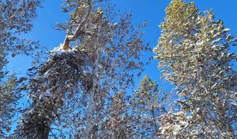 4376 Granite Rdg, Ashton, ID 83420