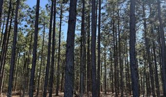 Fairview Road, Batesburg Leesville, SC 29006