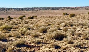 N7009 40 Acres, Chambers, AZ 86502