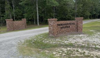 203 Estate Rd Lot 2, Atkinson, NC 28421