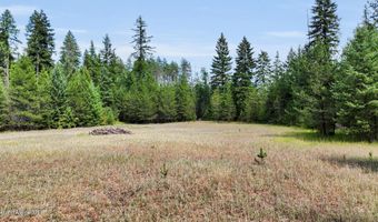 30492 N STAMPEDE Rd, Athol, ID 83801