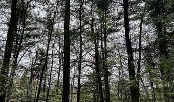 385 ELK CREEK Rd, Aaronsburg, PA 16820