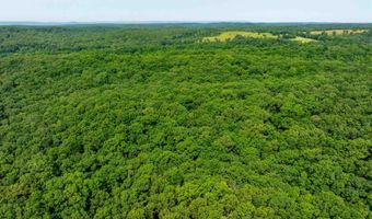 Cave Creek Road, Batesville, AR 72501