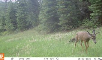 15098 CR 240, Bayfield, CO 81122