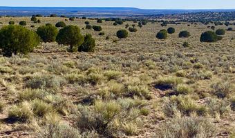 River Meadows Ranch Unit 3 Lot 204, Concho, AZ 85924