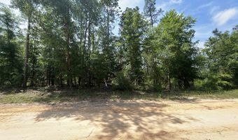 Holly Springs Avenue, Alford, FL 32420