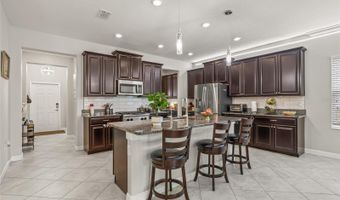 3212 CALVANO Dr, Land O Lakes, FL 34639