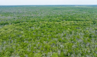 CR 4630, Annona, TX 75550