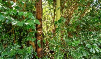 3 RD Ave, Keaau, HI 96749