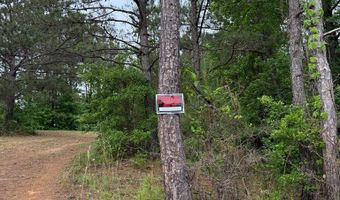 County Road 50, Abbeville, AL 36310