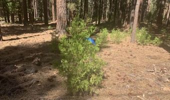Edgewater Way lot 84, Adin, CA 96006